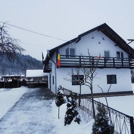 Casa Roxana Villa Viseu de Mijloc Bagian luar foto