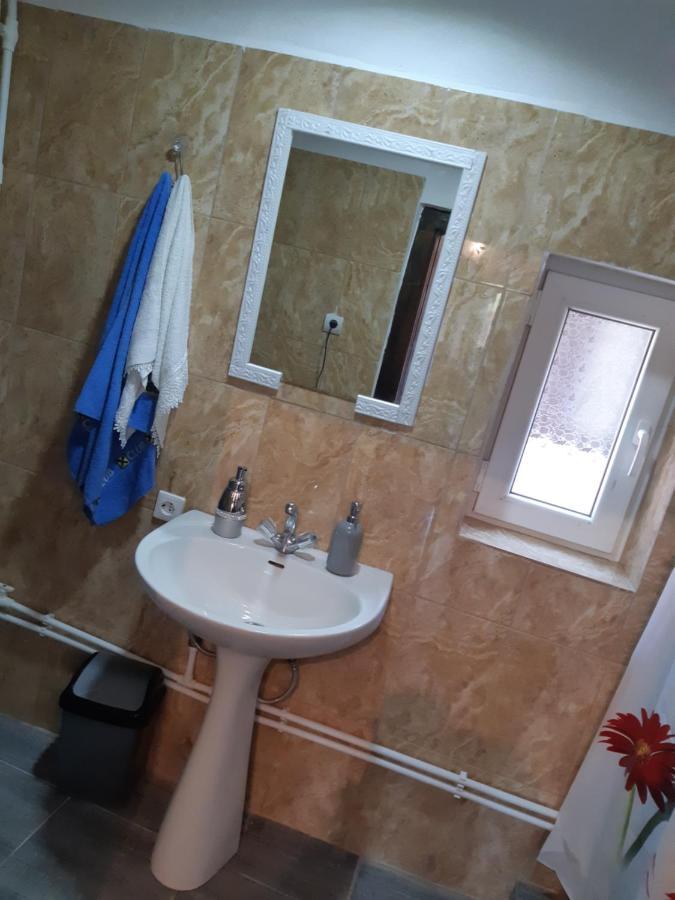 Casa Roxana Villa Viseu de Mijloc Bagian luar foto
