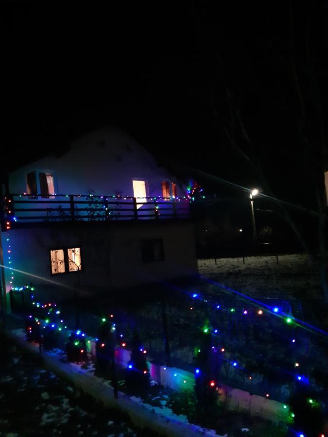 Casa Roxana Villa Viseu de Mijloc Bagian luar foto