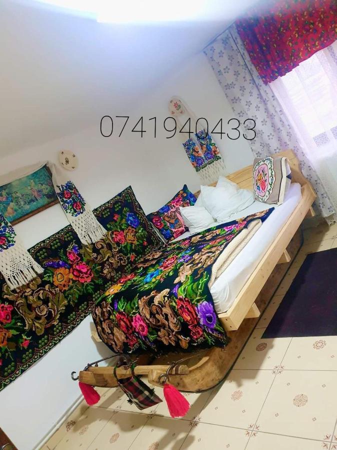 Casa Roxana Villa Viseu de Mijloc Bagian luar foto