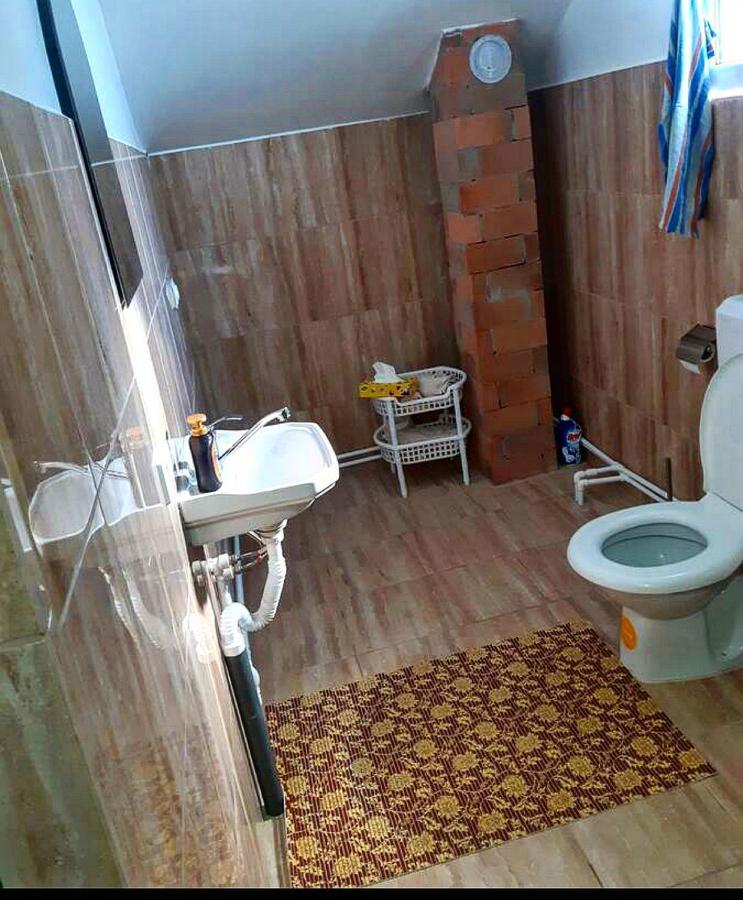 Casa Roxana Villa Viseu de Mijloc Bagian luar foto