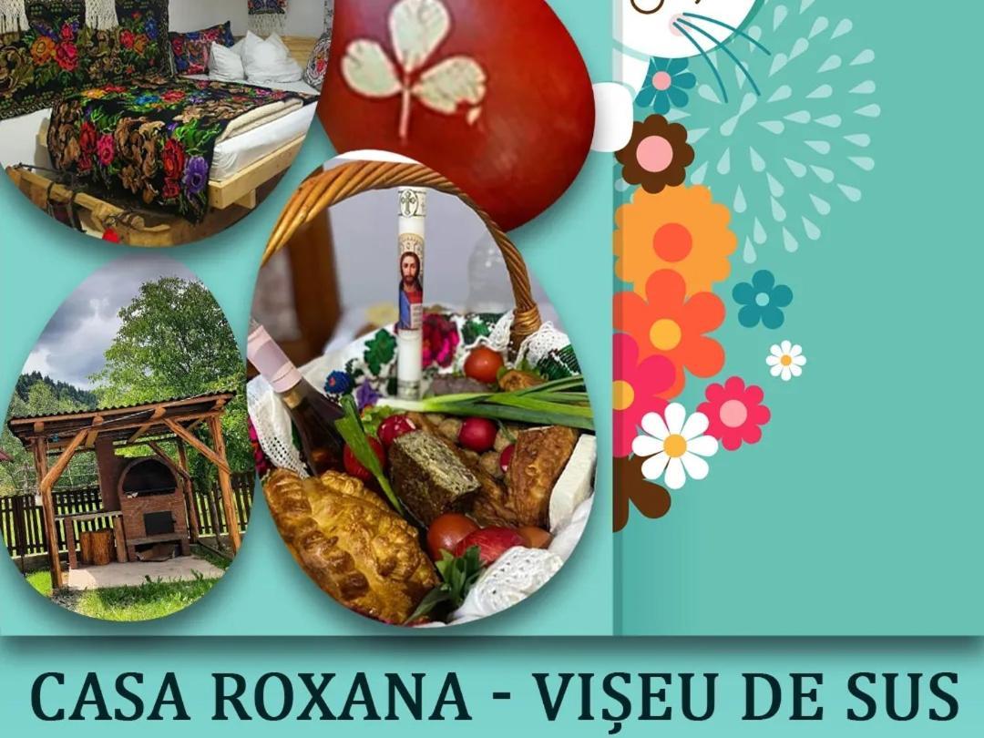 Casa Roxana Villa Viseu de Mijloc Bagian luar foto