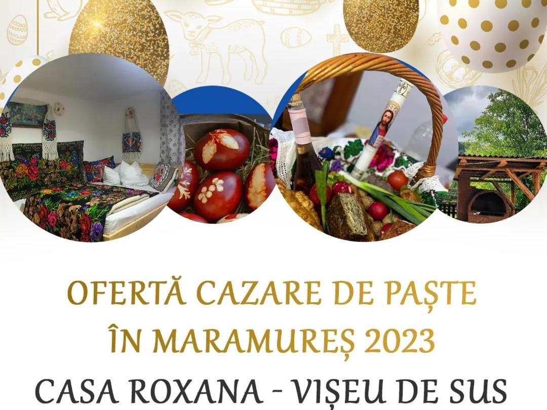 Casa Roxana Villa Viseu de Mijloc Bagian luar foto