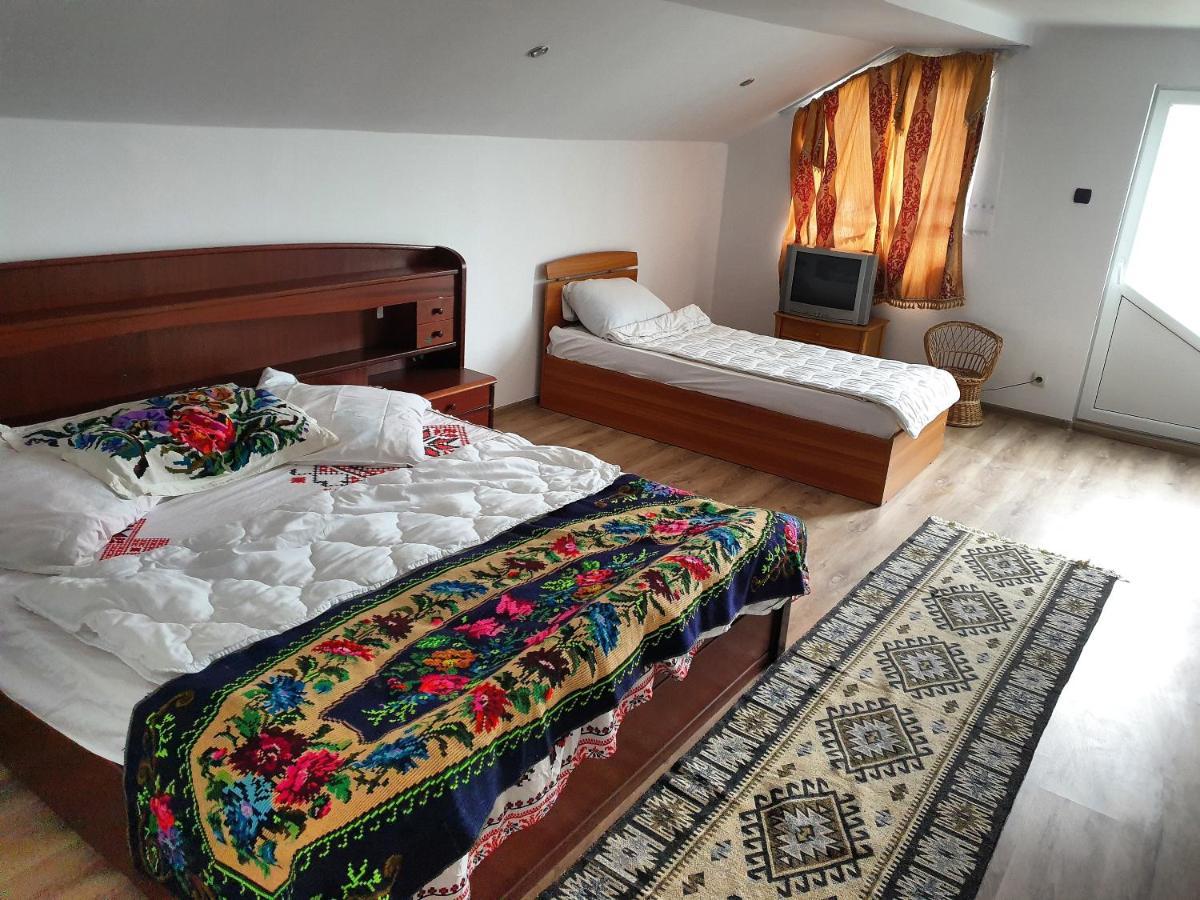 Casa Roxana Villa Viseu de Mijloc Bagian luar foto