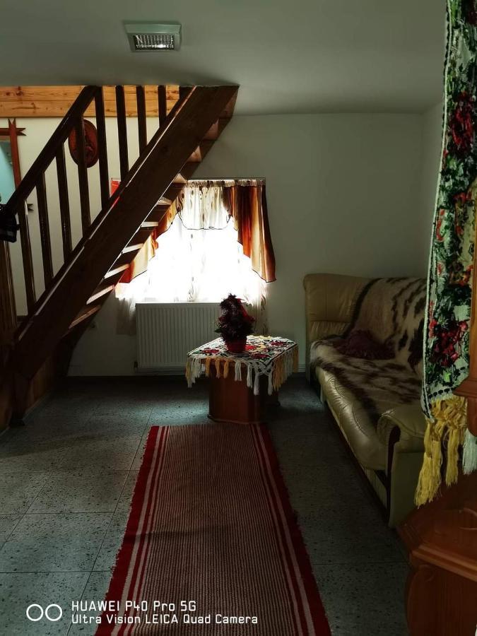 Casa Roxana Villa Viseu de Mijloc Bagian luar foto