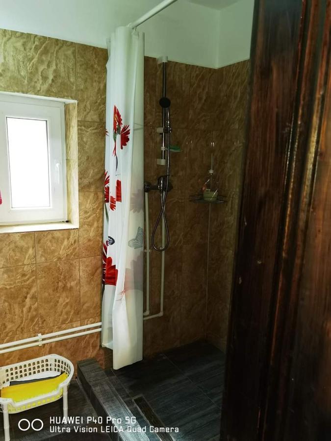 Casa Roxana Villa Viseu de Mijloc Bagian luar foto