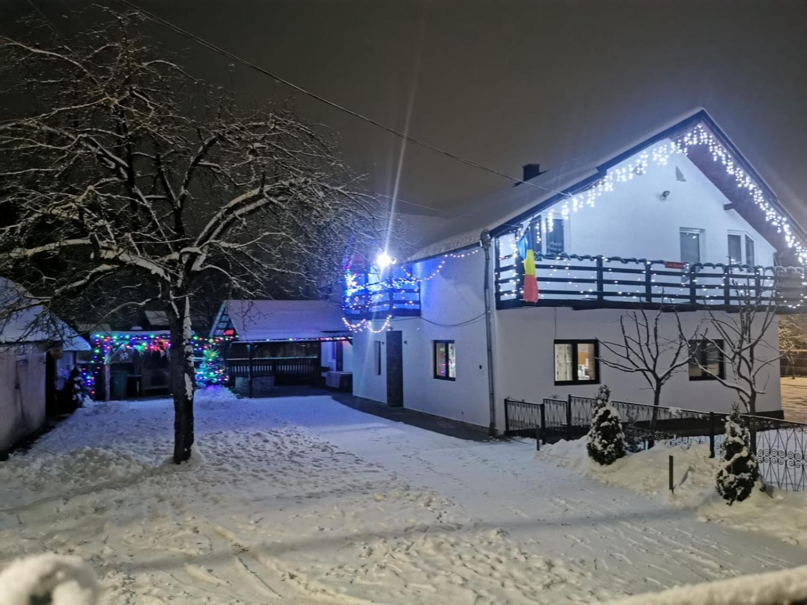 Casa Roxana Villa Viseu de Mijloc Bagian luar foto