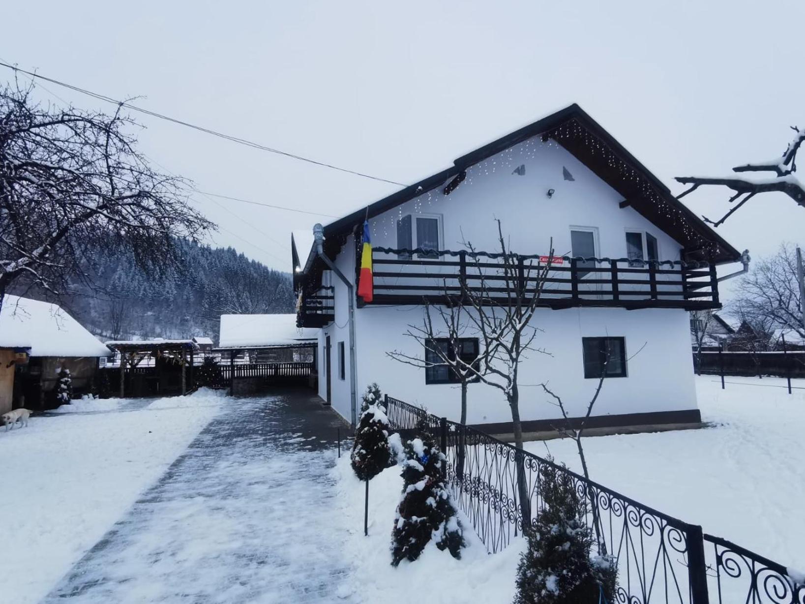 Casa Roxana Villa Viseu de Mijloc Bagian luar foto