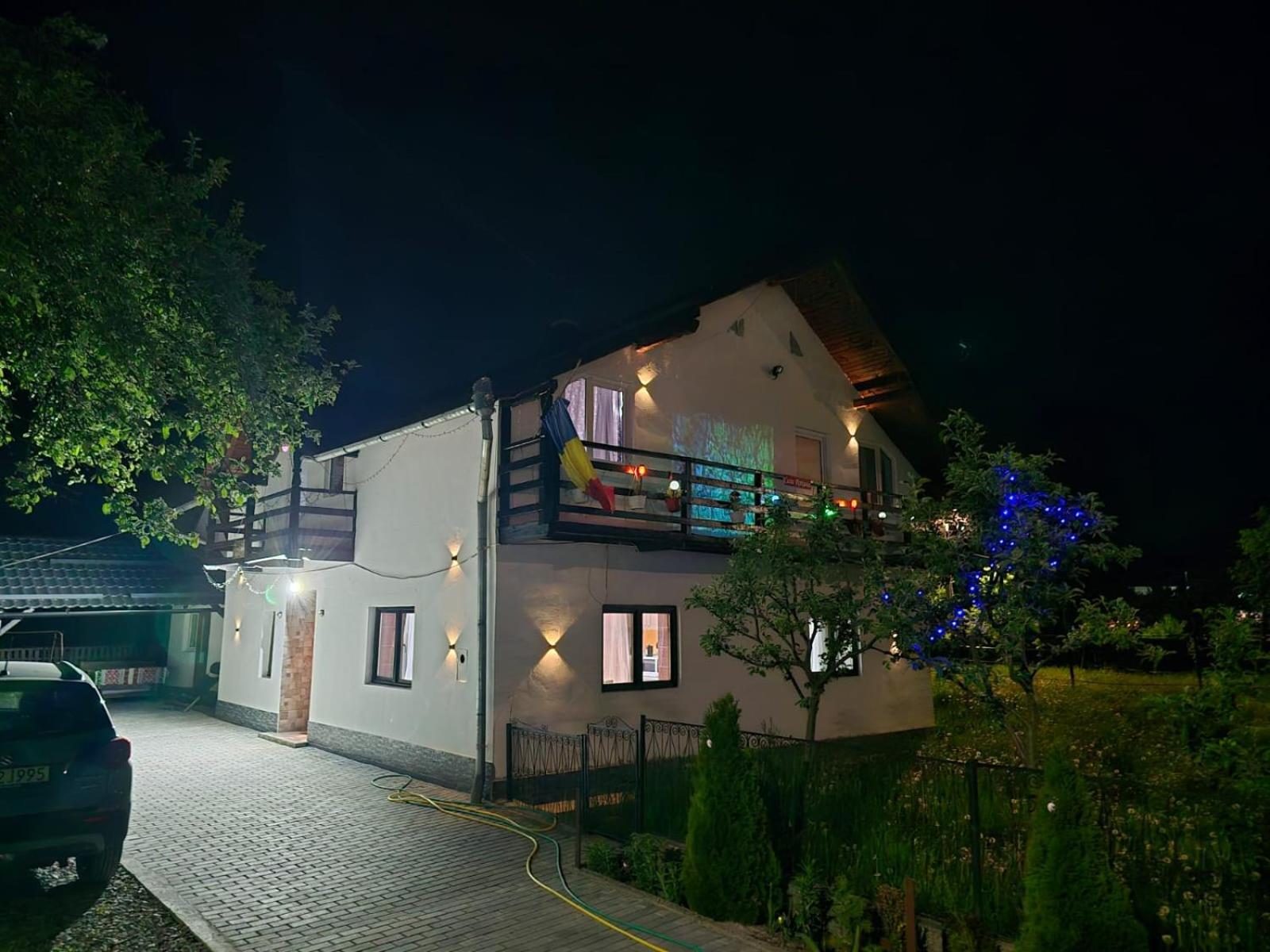Casa Roxana Villa Viseu de Mijloc Bagian luar foto