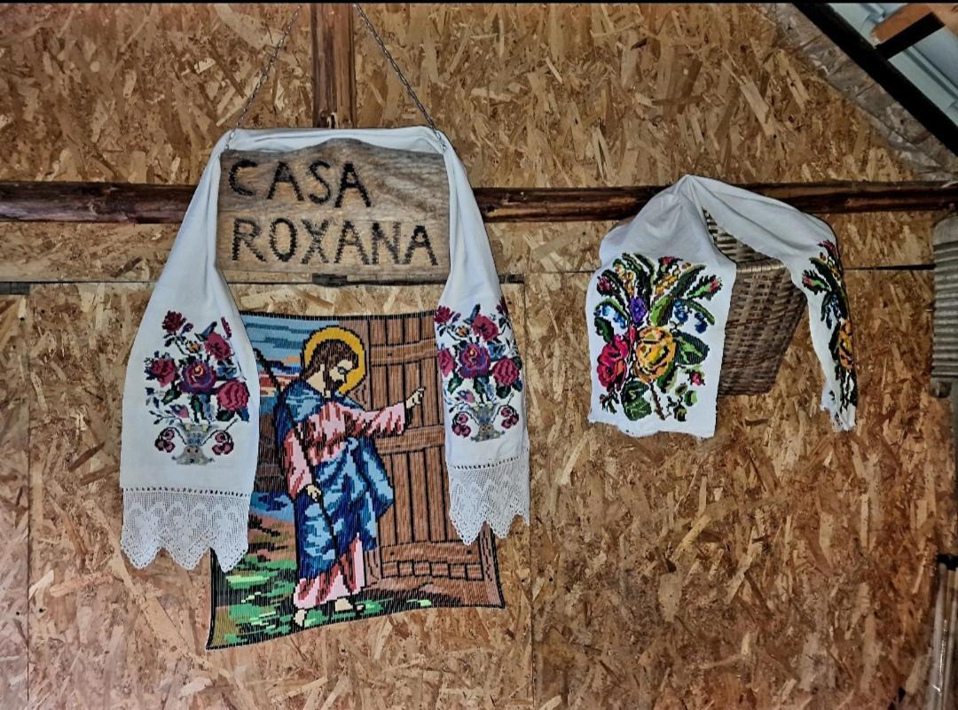 Casa Roxana Villa Viseu de Mijloc Bagian luar foto