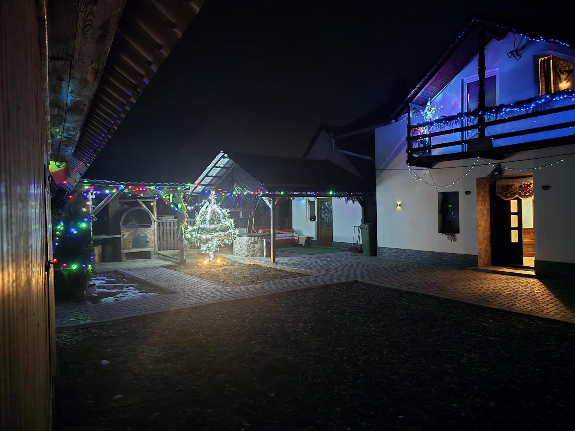 Casa Roxana Villa Viseu de Mijloc Bagian luar foto