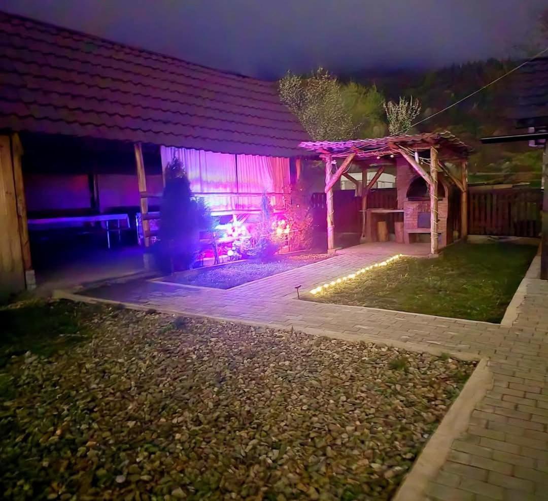 Casa Roxana Villa Viseu de Mijloc Bagian luar foto